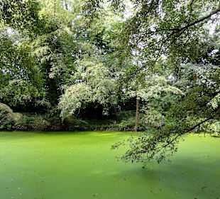 Spaziergang durch Thieles Garten