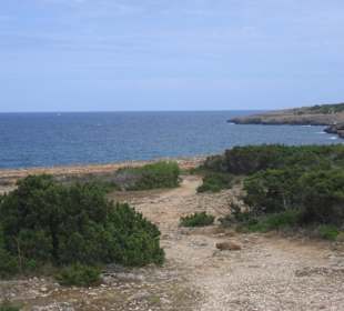 Naturschutzgebiet 300m vom Hotel entfernt