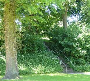 Kollmannspark