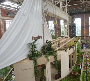 Kreuzfahrt mit der MS Blühende Papenburg