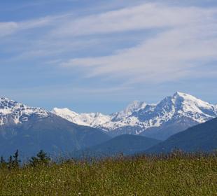 Blick zur Ortlergruppe