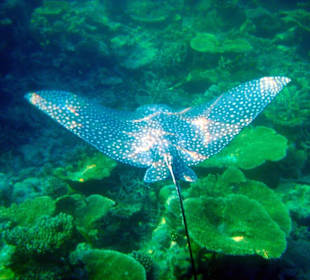 Mein schönstes Erlebnis