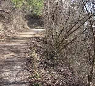 Hirschauer Spitzbergwegle (Premiumspazierwanderweg