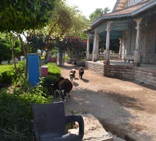 Außenbereich des Museums