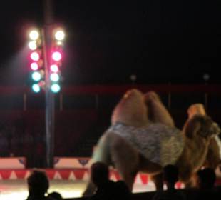 Landauer Weihnachtscircus 2015