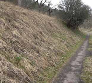 Unterjesinger Wengertwegle