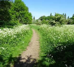 Spaziergang am südlichen Ufer des Sees