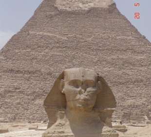 Sphinx