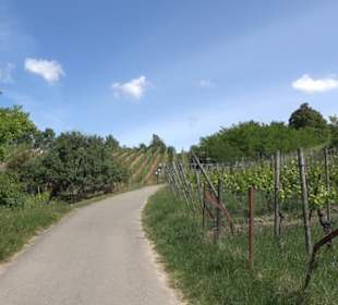 Früchtetrauf - Wurmlinger Kapellenwegle