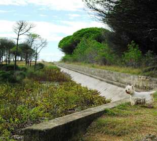 Ende September 2010 Inspirationen