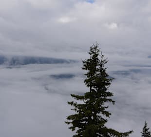 Blick bei Nebel vom Kehlsteinhaus