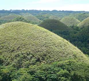 Chocolate Hills