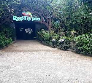 Singapur Zoo