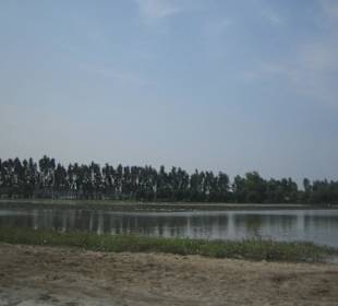 Landschaft zwischen Rach Gia und Saigon