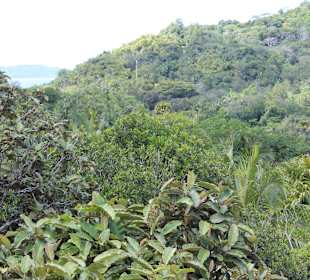 Ausblick über das Vallee de Mai