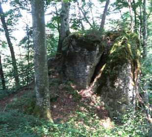 Premiumwanderweg "hochgesprudelt"