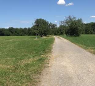 Eduard Lucas Musterobstgarten Mähringen