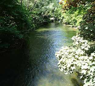 Stadtrundgang Singen