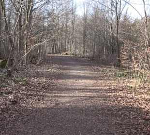 Premiumwanderweg Hohenwittlingensteig