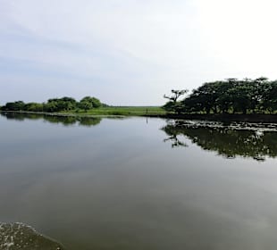 Ausflug zum Yellow River