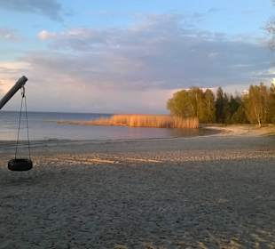 Oderhaff/Wald-Strand