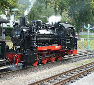 Der rasende Roland