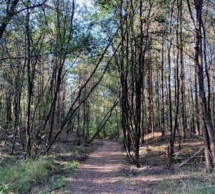Nationalpark Hoge Kempen