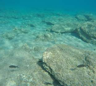Das Meer