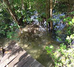 Immer schön schauen