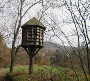 Altstadt Baden-Baden Park