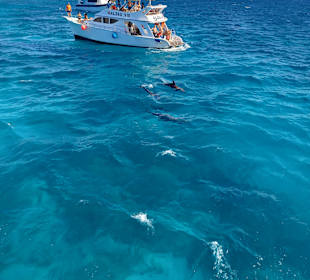 Glasbodenboot Tour Hurghada