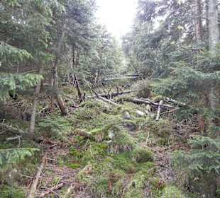 Karkonoski Park Narodowy