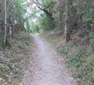Wanderweg zur Achalm