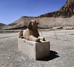 Tempel der Hatschepsut