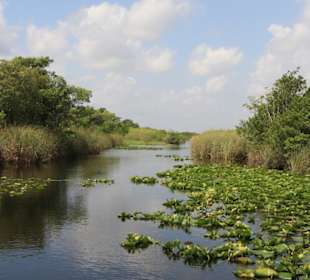 Everglades