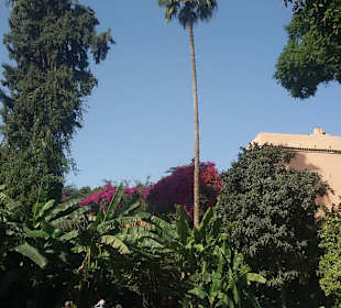 Schöne Grünflächen im Palasthotel