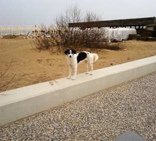Strandpromenade im März