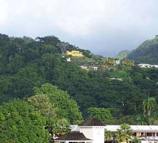 Roseau