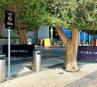 Dubai Mall