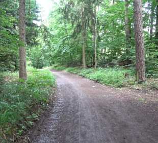 Wanderweg Märchensee Runde