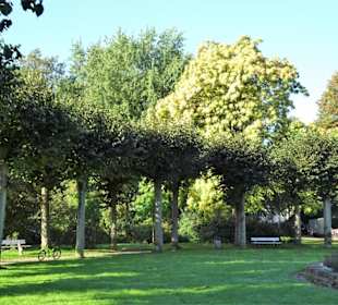 Impressionen aus dem Stadtpark von Lübeck