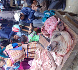 Bac Ha market