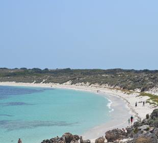 Rottnest Island