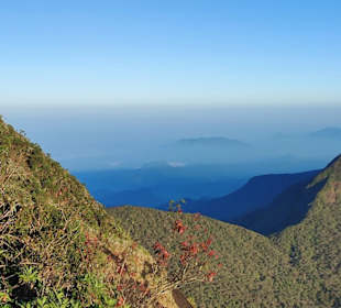 Morgenstimmung in den Horton Plains