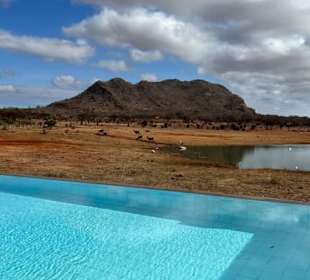 Geführte Touren Marco Polo Tours & Safaris Diani Beach