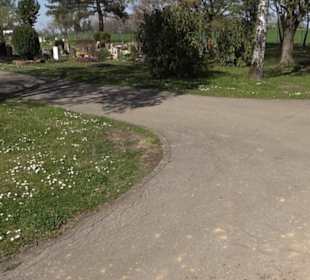 Neuer Friedhof