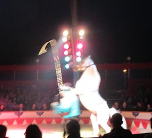 Landauer Weihnachtscircus 2015