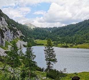 Tauplitzalm