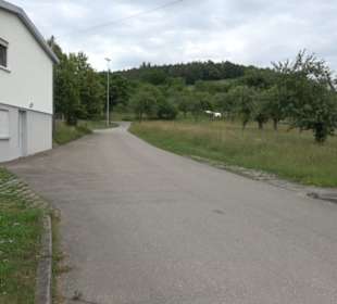 Wanderweg - Alter Steinbruch Pfaffenberg Runde