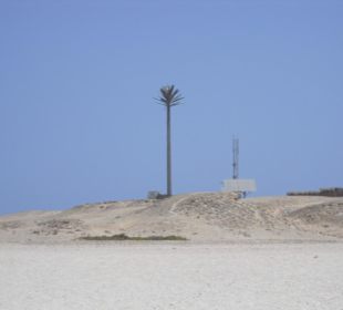 Mast in Form einer Palme